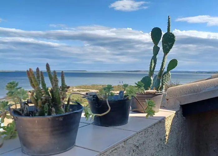 Vue De Reve Sur Lagune De Vakantiehuis Bages (Aude)